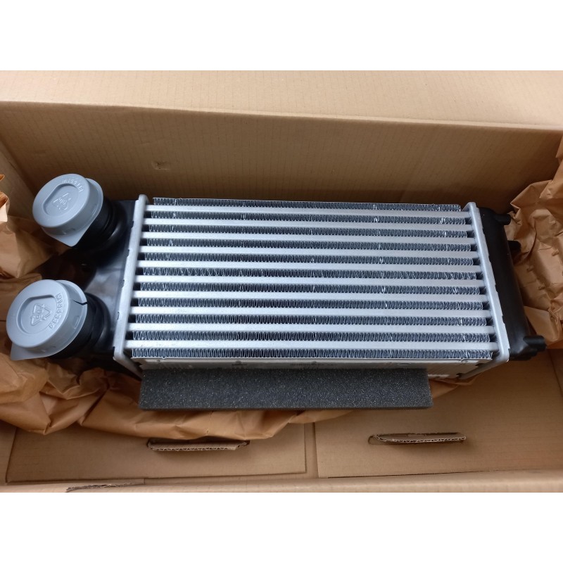 Pièce pour FORD - Intercooler, Charger 1878624