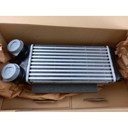 Pièce pour FORD - Intercooler, Charger 1878624