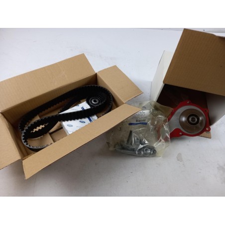 Pièce pour FORD - Water Pump And Timing Belt Kit 2008685