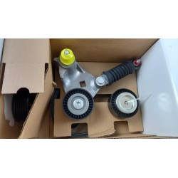 Pièce pour FORD - Belt Tensioner/Pulley 2110301