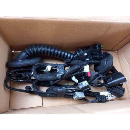 Pièce pour FORD - Cable Harness, Door 2196154