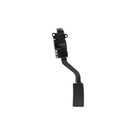 PÉDALE ACCÉLÉRATEUR POUR CITROEN JUMPER 06