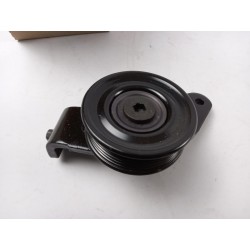 Pièce pour FORD - Belt Tensioner/Pulley 6935235