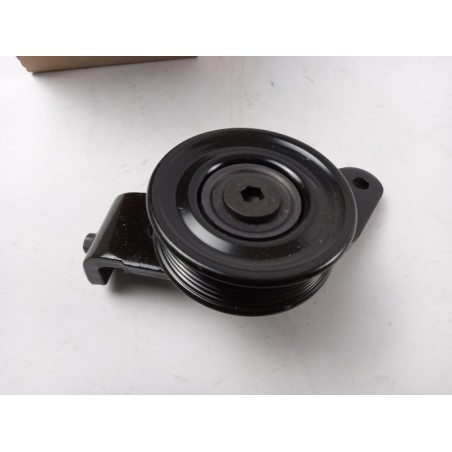 Pièce pour FORD - Belt Tensioner/Pulley 6935235