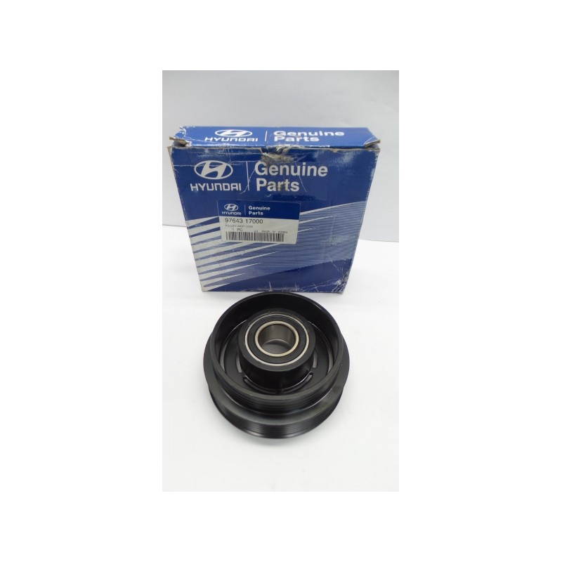 Pièce pour HYUNDAI/KIA - Belt Tensioner/Pulley 9764317000