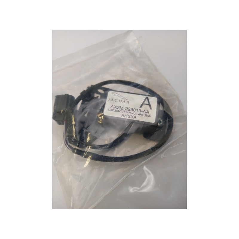 Pièce pour JAGUAR - Control Unit, Lights C2Z14607