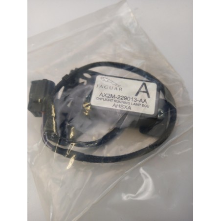 Pièce pour JAGUAR - Control Unit, Lights C2Z14607