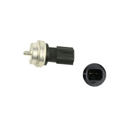SONDE DE TEMPÉRATURE, LIQUIDE DE REFROIDISSEMENT POUR RENAULT MASTER III 10