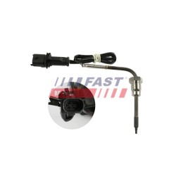 PTEUR, TEMPÉRATURE DES GAZ POUR FIAT DUCATO 14