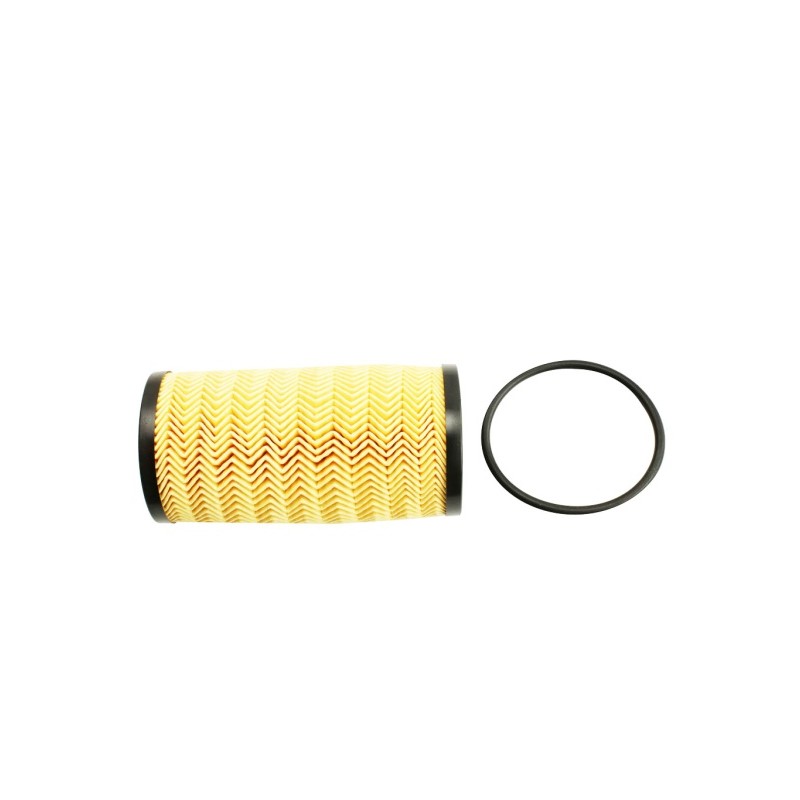 FILTRE À HUILE POUR RENAULT KANGOO II 08
