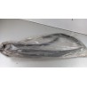 Pièce pour OPEL - Seal, Door Window 24449536