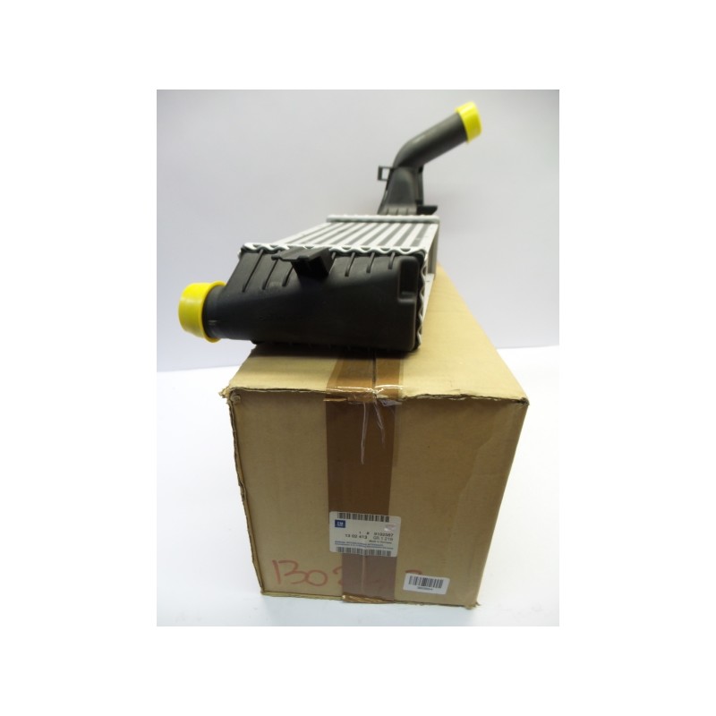 Pièce pour OPEL - Intercooler, Charger 9192587