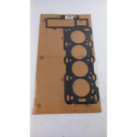 Pièce pour OPEL - Gasket, Cylinder Head 93189314