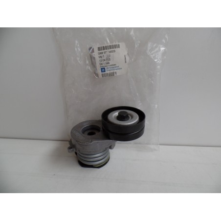 Pièce pour OPEL - Belt Tensioner/Pulley 97184929