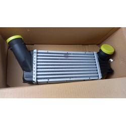 Pièce pour PEUGEOT/CITROEN - Intercooler, Charger 0384F6
