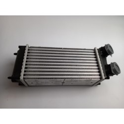 Pièce pour PEUGEOT/CITROEN - Intercooler, Charger 0384H5