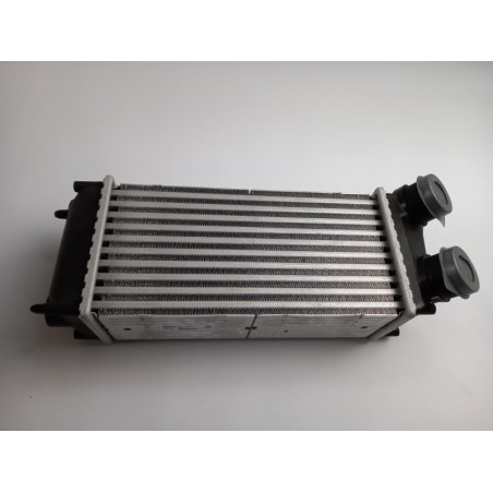 Pièce pour PEUGEOT/CITROEN - Intercooler, Charger 0384H5