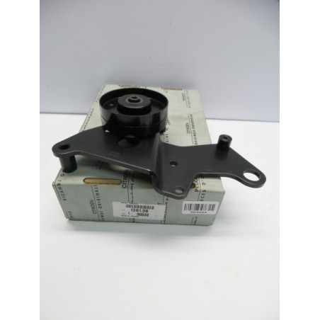 Pièce pour PEUGEOT/CITROEN - Belt Tensioner/Pulley 128138