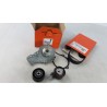 Pièce pour PEUGEOT/CITROEN - Water Pump And Timing Belt Kit 1609121080