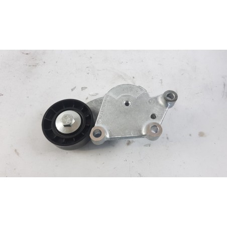 Pièce pour PEUGEOT/CITROEN - Belt Tensioner/Pulley 1611425680