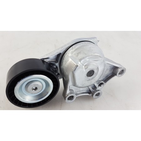 Pièce pour PEUGEOT/CITROEN - Belt Tensioner/Pulley 1631481580