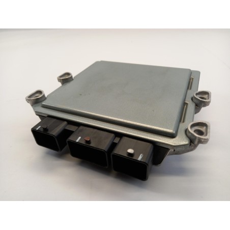 Pièce pour PEUGEOT/CITROEN - Control Unit, Engine Management 1942PL