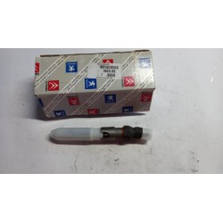 Pièce pour PEUGEOT/CITROEN - Injector Nozzle 198056