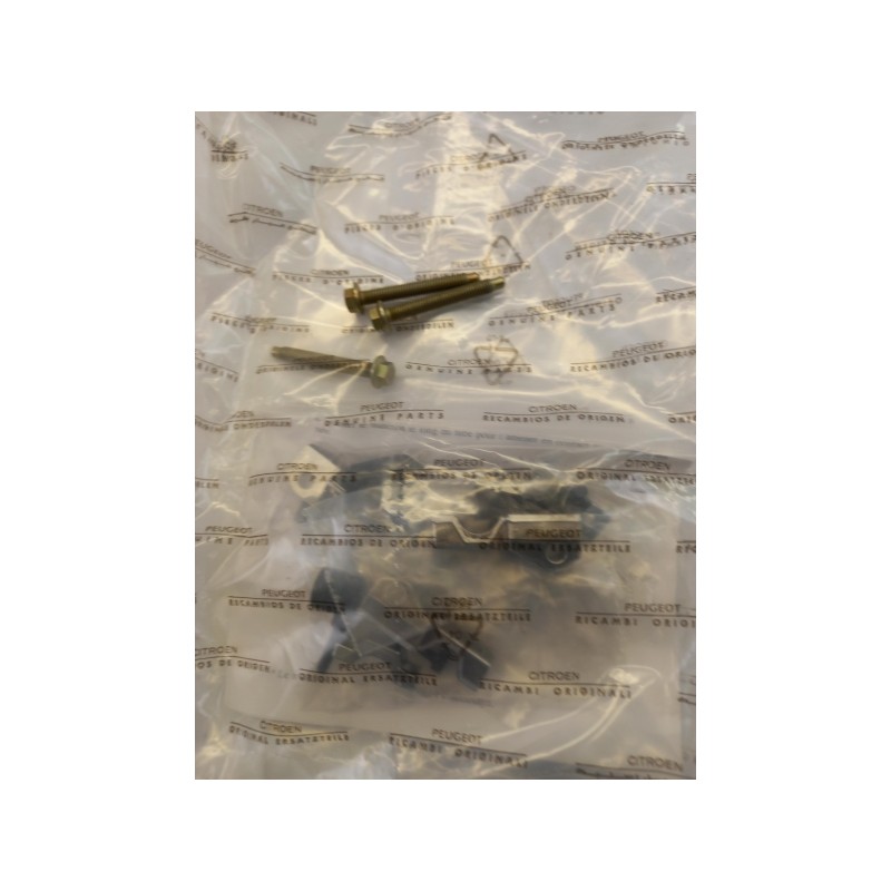 Pièce pour PEUGEOT/CITROEN - Repair Kit, Injector Holder 198290