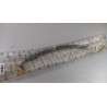 Pièce pour PEUGEOT/CITROEN - Oil Pipe 227935