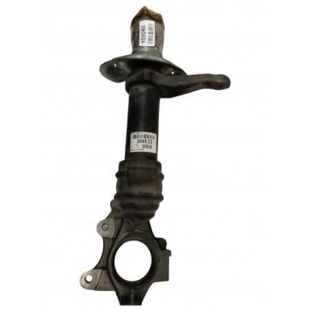 Pièce pour PEUGEOT/CITROEN - Steering Knuckle 3645C3