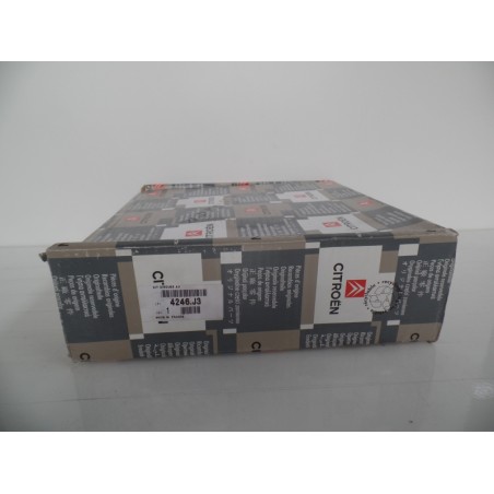 Pièce pour PEUGEOT/CITROEN - Brake Disc Set (2pc) 4246J3