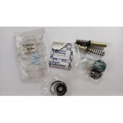 Pièce pour PEUGEOT/CITROEN - Repair Kit, Brake Master Cylinder 463390