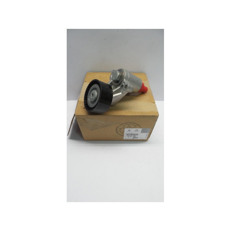 Pièce pour PEUGEOT/CITROEN - Belt Tensioner/Pulley 575130