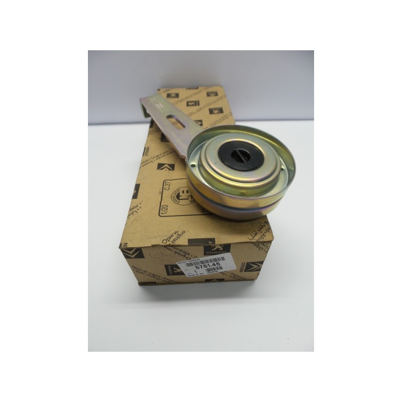 Pièce pour PEUGEOT/CITROEN - Belt Tensioner/Pulley 575145