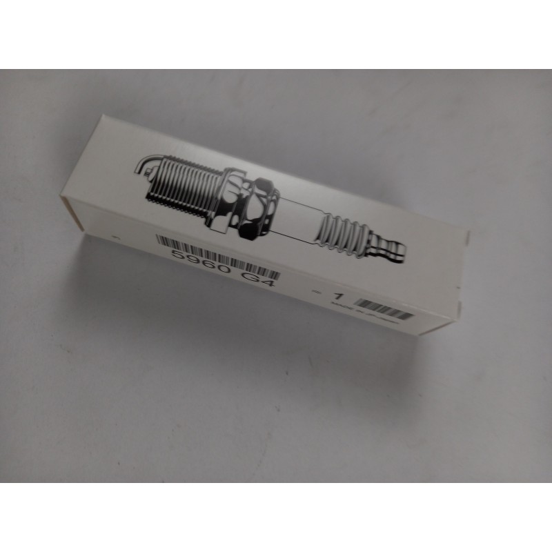 Pièce pour PEUGEOT/CITROEN - Spark Plug 5960G4