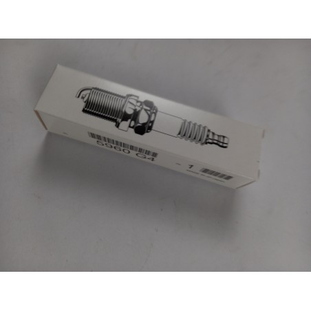 Pièce pour PEUGEOT/CITROEN - Spark Plug 5960G4