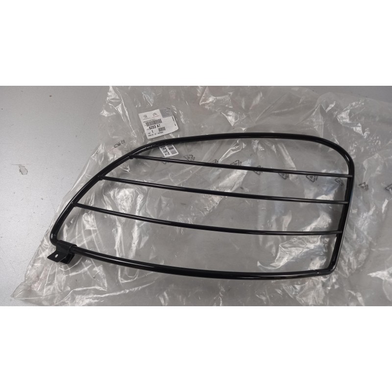 Pièce pour PEUGEOT/CITROEN - Lamp Guard 6203A7