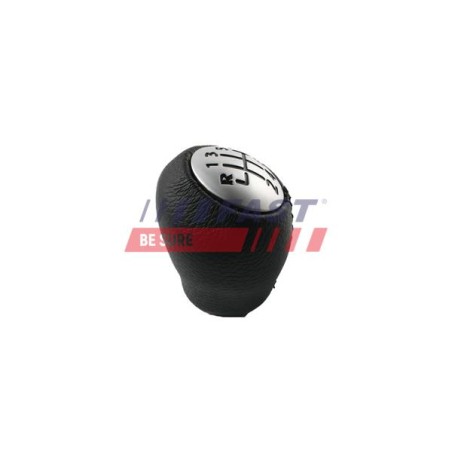 POMMEAU DE LEVIER DE VITESSE POUR RENAULT LAGUNA II 01