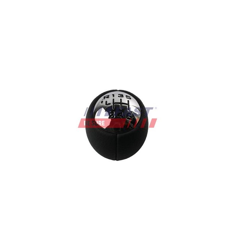 POMMEAU DE LEVIER DE VITESSE POUR PEUGEOT 307 00