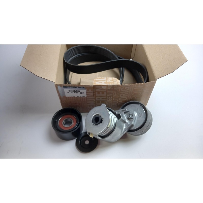 PIECE POUR RENAULT 117209732R