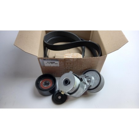 PIECE POUR RENAULT 117209732R