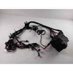 Pièce pour RENAULT - Cable Harness 8201005730