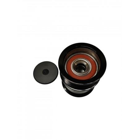 Pièce pour SKF - Pulley, Alternator VKM03401
