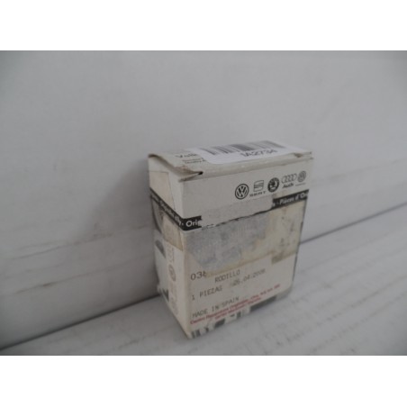 Pièce pour VAG - Belt Tensioner/Pulley 038109244E