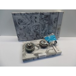 Pièce pour VAG - Timing Belt Kit 038198119E