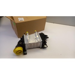 Pièce pour VAG - Intercooler, Charger 04L145749P