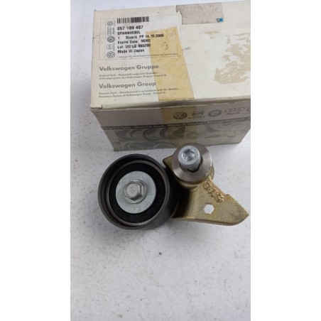 Pièce pour VAG - Belt Tensioner/Pulley 057109487