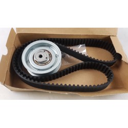 Pièce pour VAG - Timing Belt Kit 06A198119D