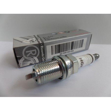 Pièce pour VAG - Spark Plug 101000063AA