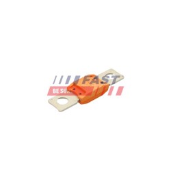 FUSIBLE POUR IVECO DAILY 06